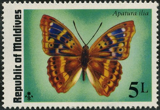 Maldivas - 1975 - Borboletas - 5L