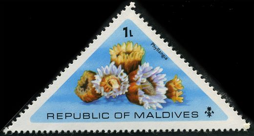 Maldivas - 1975 - Corais - 1L