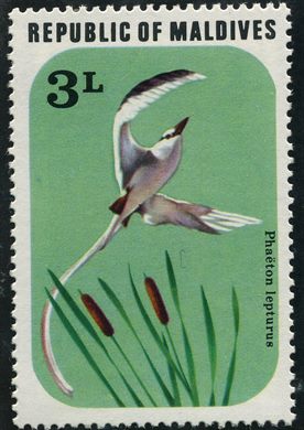 Maldivas - 1977 - Aves - 3L