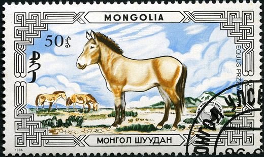 Mongolia - 1986 - Cavalo de Przewalski - 50M