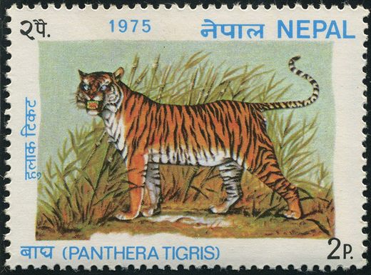Nepal - 1975 - Fauna Tigre - 2P