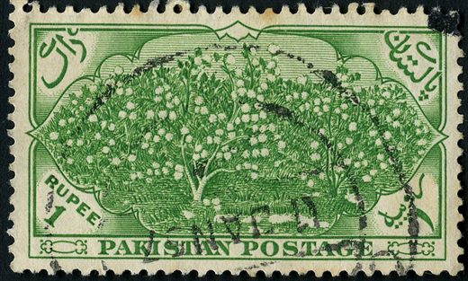Paquistao - 1948 - Definitivo Cotton Plant - 1R