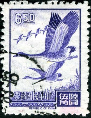 Taiwan - 1969 - Gansos Selvagens - 6.50D