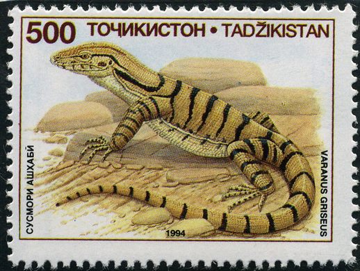 Tajiquistao - 1994 - Fauna Varanus griseus - 500R