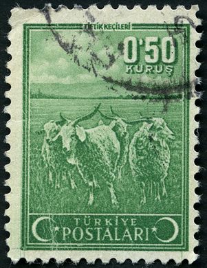 Turquia - 1953 - Tiftik Kecileri - 0.50Krs