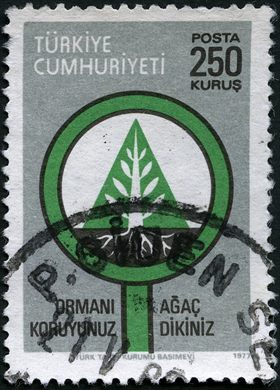 Turquia - 1977 - Ormani Koruyunuz Agac Dikiniz - 250Krs