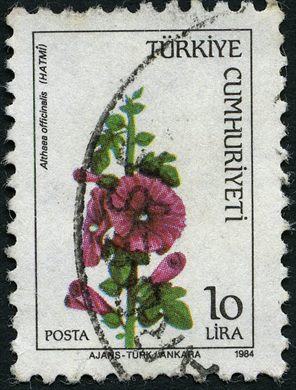 Turquia - 1984 - Flora Althaea officinalis - 10Lira