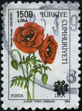 Turquia - 1984 - Flora Papaver rhoeas Sobrecarga - 1500Lira sobre 20