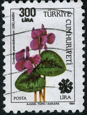 Turquia - 1984 - Flora Cyclamen pseudoibericum Sobrecarga - 300Lira