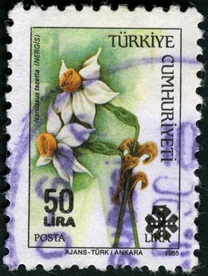 Turquia - 1985 - Flora Narcissus tazetta Sobrecarga - 50Lira