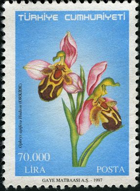 Turquia - 1997 - Orquidea Ophrys apifera - 70000Lira