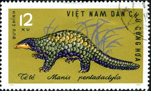 Vietname do Norte - 1965 - Fauna - Manis pentadactyla - 12Xu
