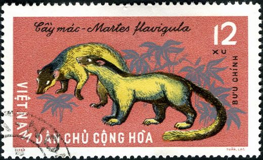 Vietname do Norte - 1965 - Fauna - Martes flavigula - 12Xu