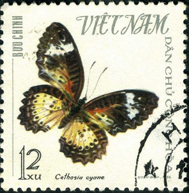 Vietname do Norte - 1966 - Borboletas - Cethosia cyane - 12Xu