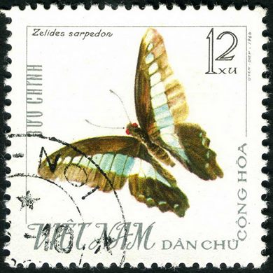 Vietname do Norte - 1966 - Borboletas - Graphium sarpedon - 12Xu