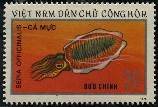 Vietname do Norte - 1974 - Fauna - Sepia officinalis - 50Xu