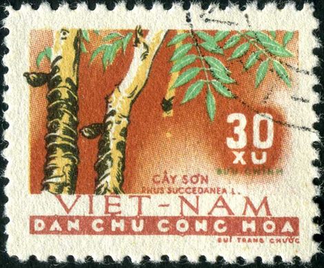 Vietname do Norte - Sem Data - Flora - Rhus succedanea - 30Xu