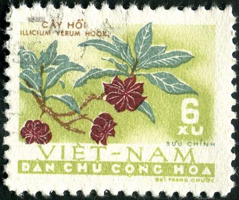 Vietname do Norte - Sem Data - Flora - Illicium verum - 6Xu