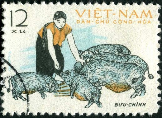 Vietname do Norte - Sem Data - Suinicultura - Camponesa com Porcos - 12Xu