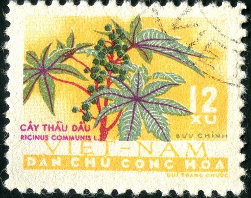 Vietname do Norte - Sem Data - Flora - Ricinus communis - 12Xu