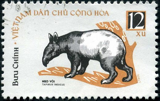 Vietname do Norte - Sem Data - Fauna - Tapirus indicus - 12Xu