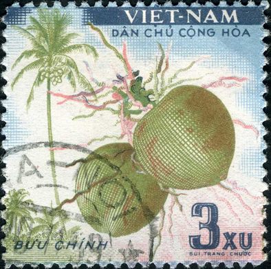 Vietname do Norte - Sem Data - Flora - Cocos nucifera - 3Xu