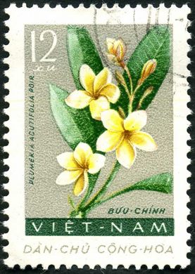 Vietname do Norte - Sem Data - Tet - Mulher Tradicional com Vaso - 30Xu