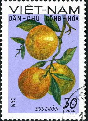 Vietname do Norte - Sem Data - Frutas - Cam - 30Xu