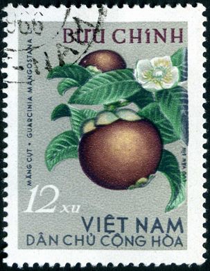 Vietname do Norte - Sem Data - Frutas - Garcinia mangostana - 12Xu