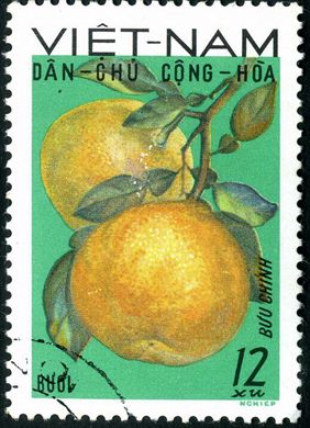 Vietname do Norte - Sem Data - Frutas - Buoi - 12Xu