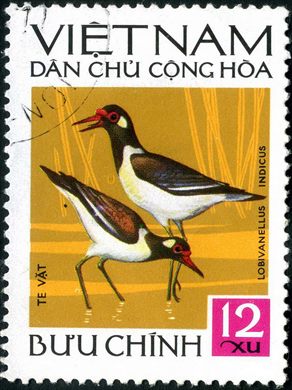 Vietname do Norte - Sem Data - Aves - Lobivanellus indicus - 12Xu