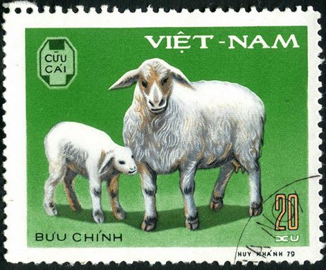 Vietname - 1979 - Animais Domesticos - Ovelha - 20Xu