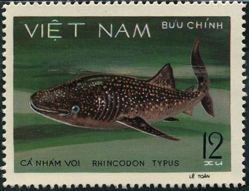 Vietname - 1980 - Peixes - Rhincodon typus - 12Xu