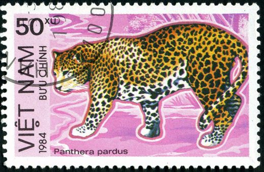 Vietname - 1984 - Fauna Panthera pardus - 50Xu