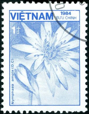 Vietname - 1984 - Flora Nymphaea ampla - 1D