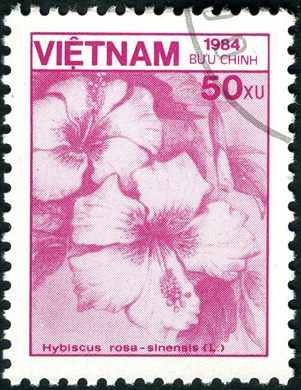 Vietname - 1984 - Flora Hibiscus rosa sinensis - 50Xu