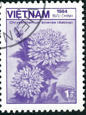 Vietname - 1984 - Flora Chrysanthemum sinense - 1D