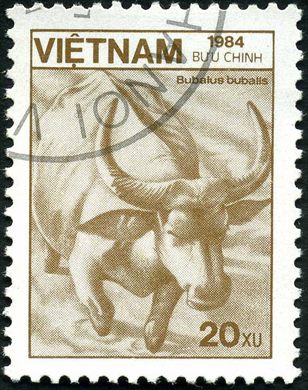 Vietname - 1984 - Fauna Bubalus bubalis - 20Xu