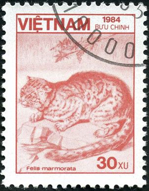 Vietname - 1984 - Fauna Felis marmorata - 30Xu