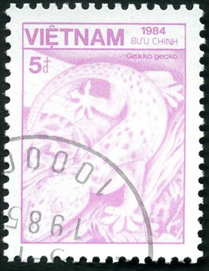 Vietname - 1984 - Fauna Gekko gecko - 5D