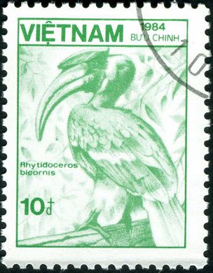 Vietname - 1984 - Fauna Rhytidoceros bicornis - 10D