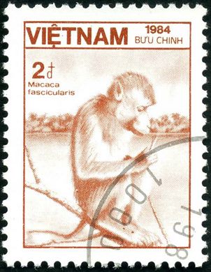 Vietname - 1984 - Fauna Macaca fascicularis - 2D