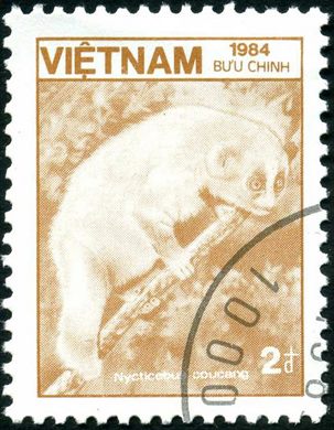 Vietname - 1984 - Fauna Nycticebus coucang - 2D