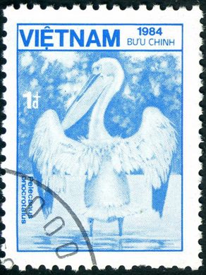 Vietname - 1984 - Fauna Pelecanus onocrotalus - 1D