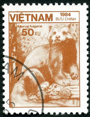 Vietname - 1984 - Fauna Ailurus fulgens - 50Xu