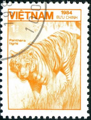 Vietname - 1984 - Fauna Panthera tigris - 1D