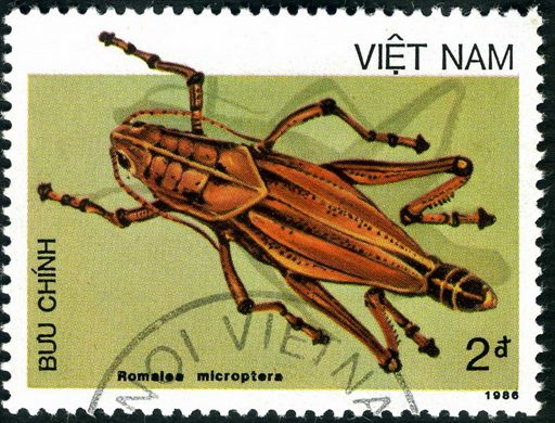 Vietname - 1986 - Insetos Romalea microptera - 2D