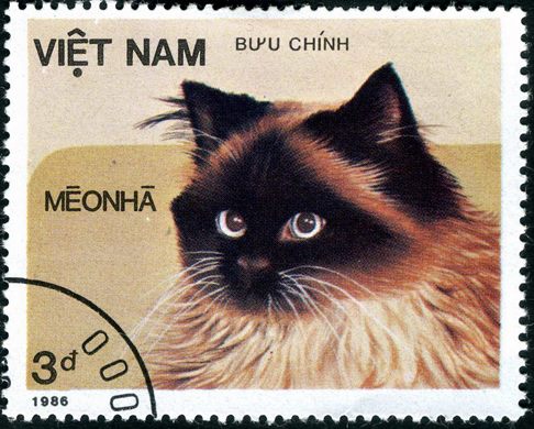 Vietname - 1986 - Gatos Domesticos Meo Nha Preto - 3D