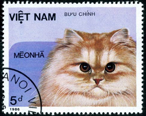 Vietname - 1986 - Gatos Domesticos Meo Nha Amarelo - 5D