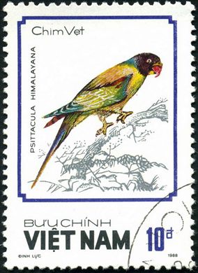Vietname - 1988 - Aves Psittacula himalayana - 10D